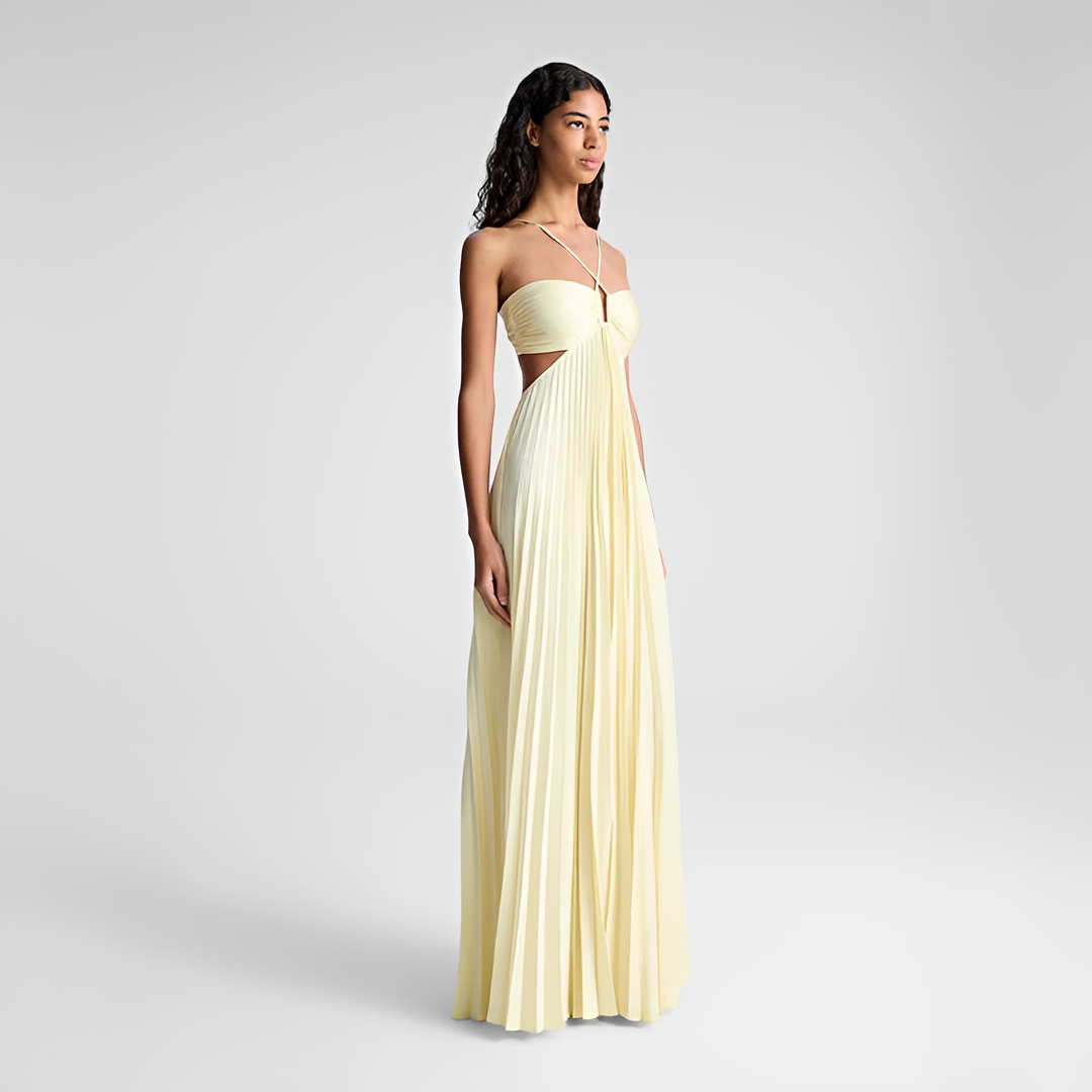 Sienna - Stylish Pleated Maxi Dress