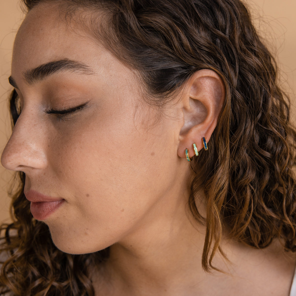 Elegant inlay earrings