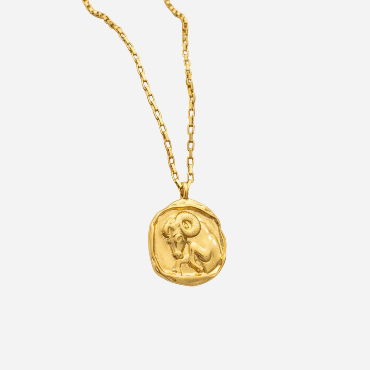 Zeki – Gold Zodiac Medallion Necklace
