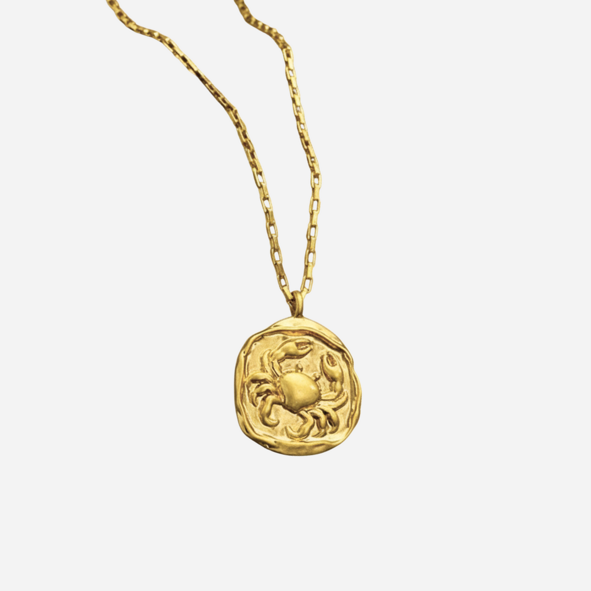 Zeki – Gold Zodiac Medallion Necklace