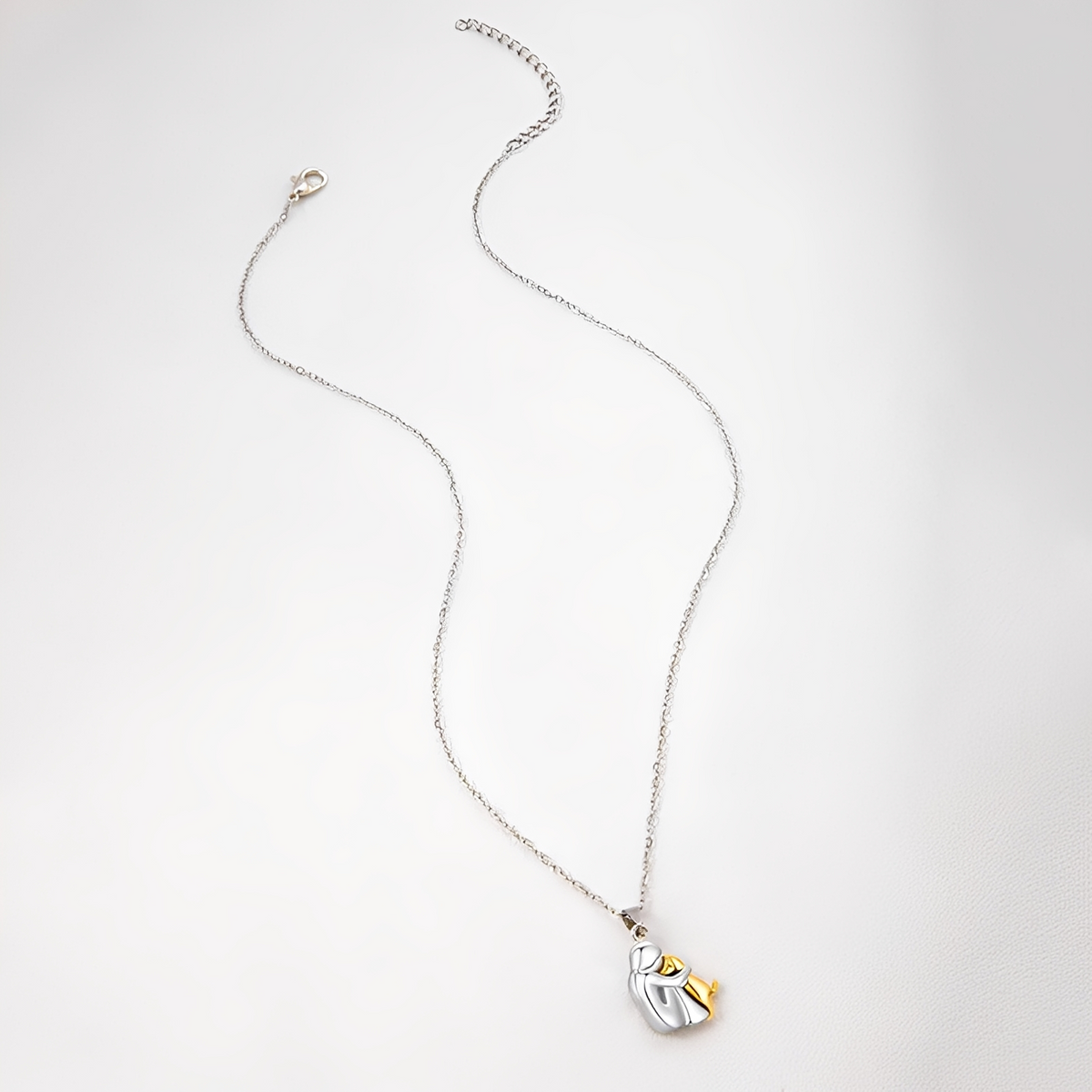 Neko – Collar with hug pendant between dog and owner