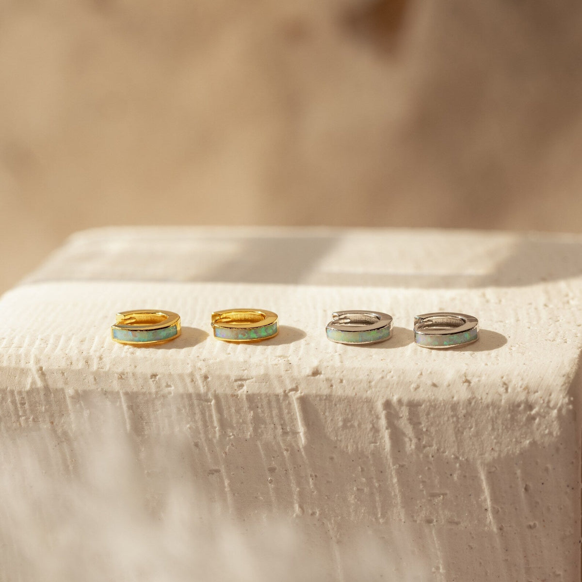 Elegant inlay earrings
