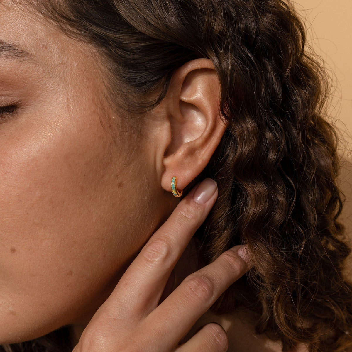 Elegant inlay earrings