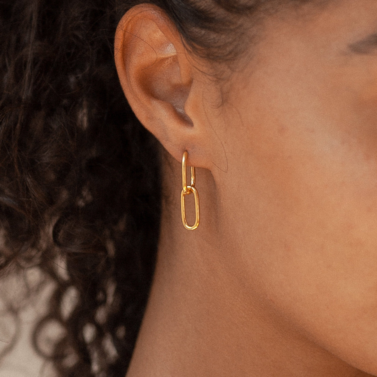 Link Earrings - Drop Earrings of Two Links